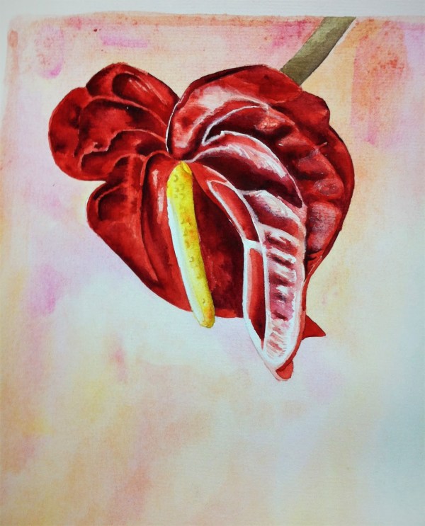 Painted Anturio for ABSGELLER website