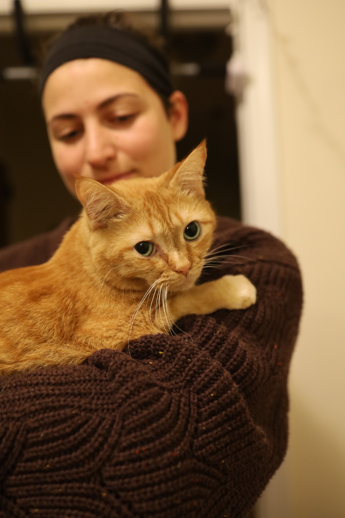 10 Daily Habits that bring me joy