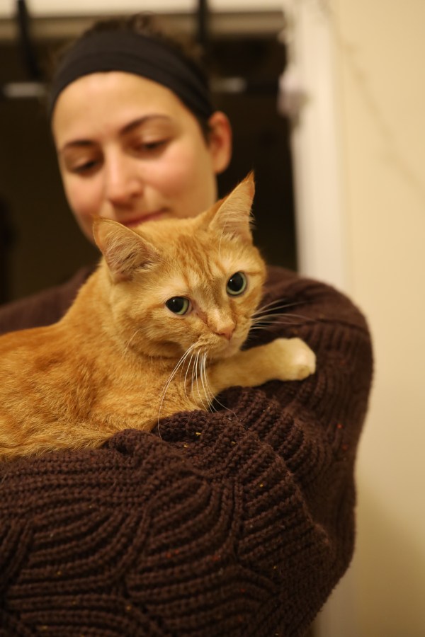 10 Daily Habits that bring me joy