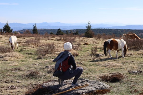 backpacking gear list for greyson highlands, va and mount mitchell, nc